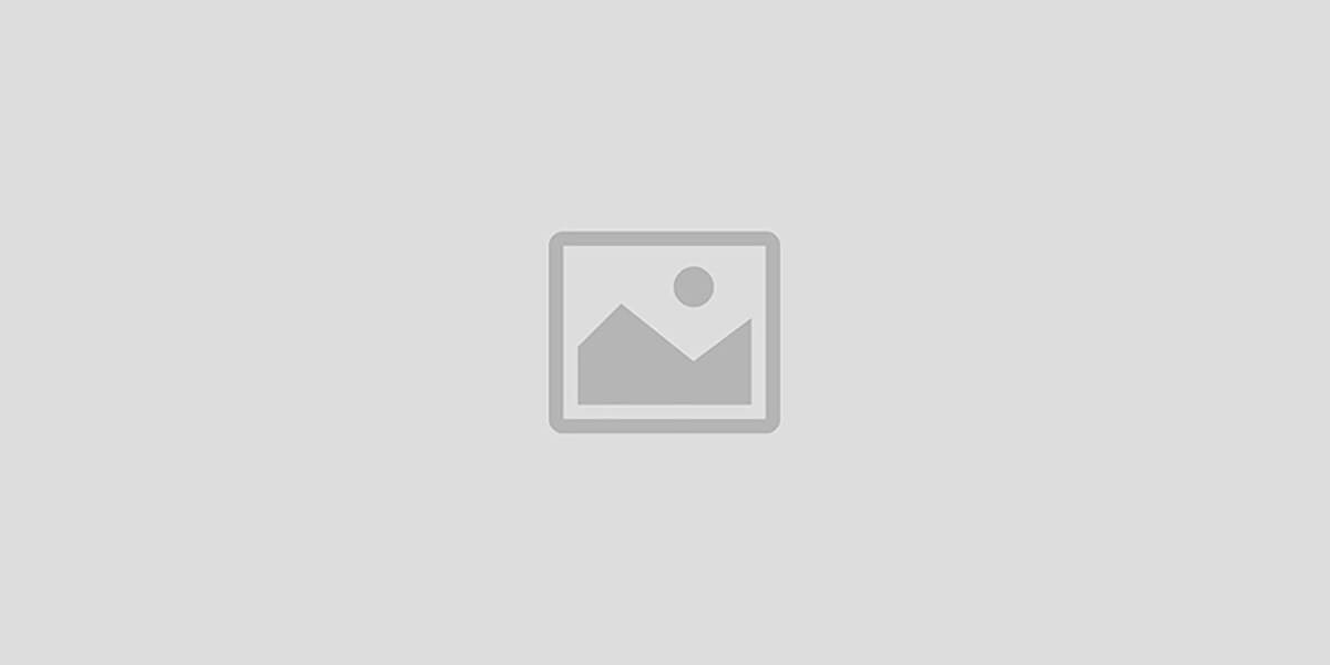 Blue Avian Global Ventures Ltd promo