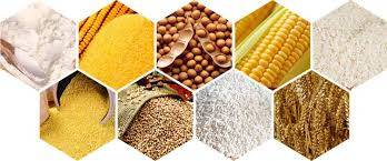Animal Feed & Agro Raw Materials
